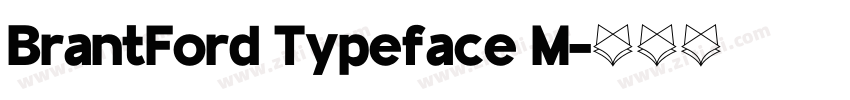 BrantFord Typeface M字体转换